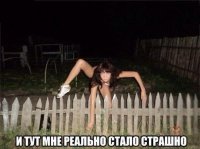  (undefined)