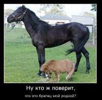 (undefined)